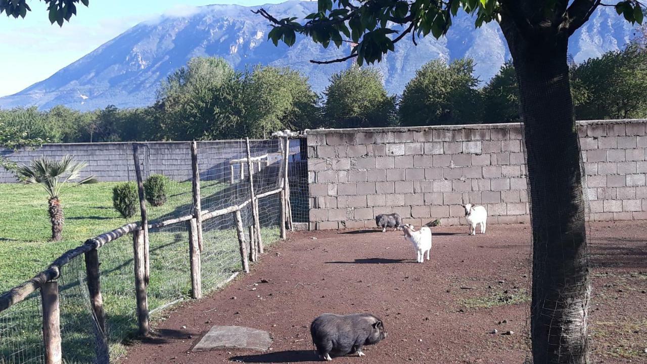 Agriturismo Carlo Cioffi Otel Rotondi Dış mekan fotoğraf